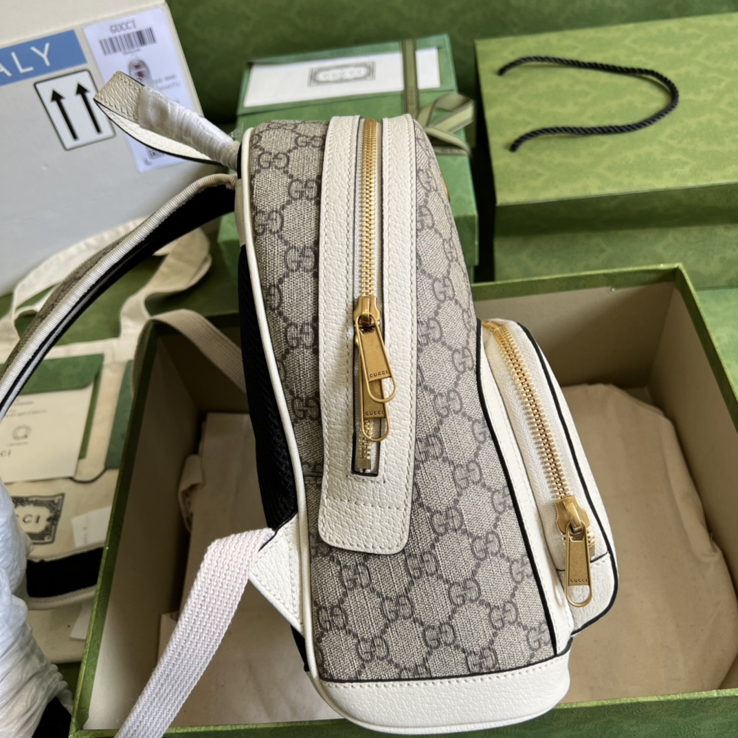 Gucci Ophidia Bag