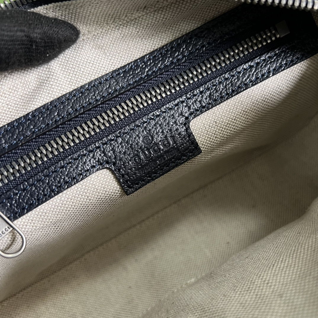 Gucci Ophidia Bag