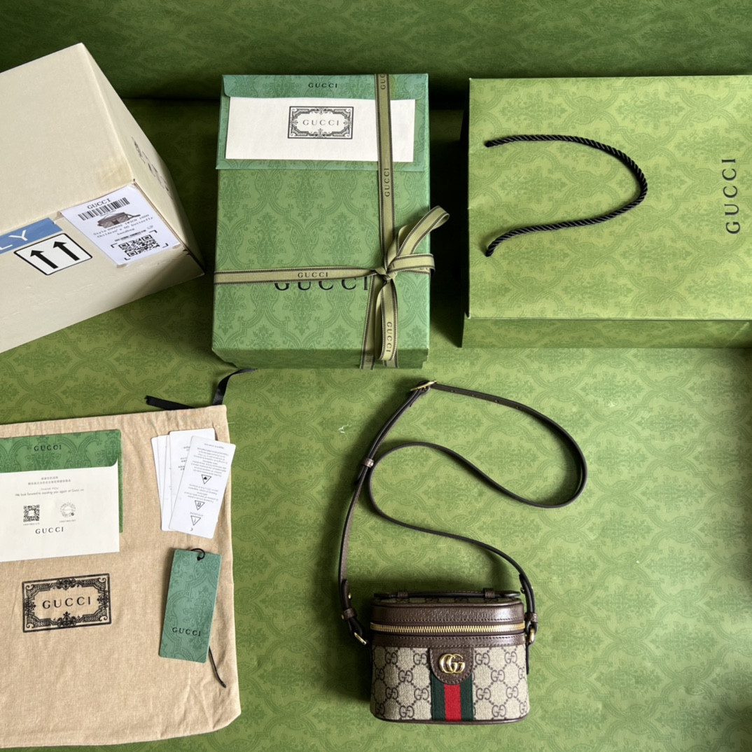 Gucci Ophidia Bag