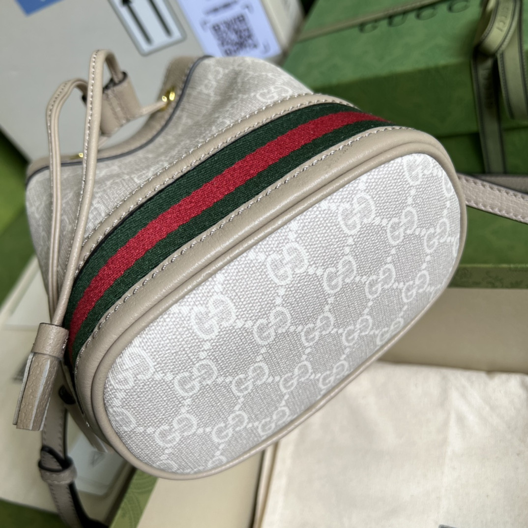 Gucci Ophidia Bag