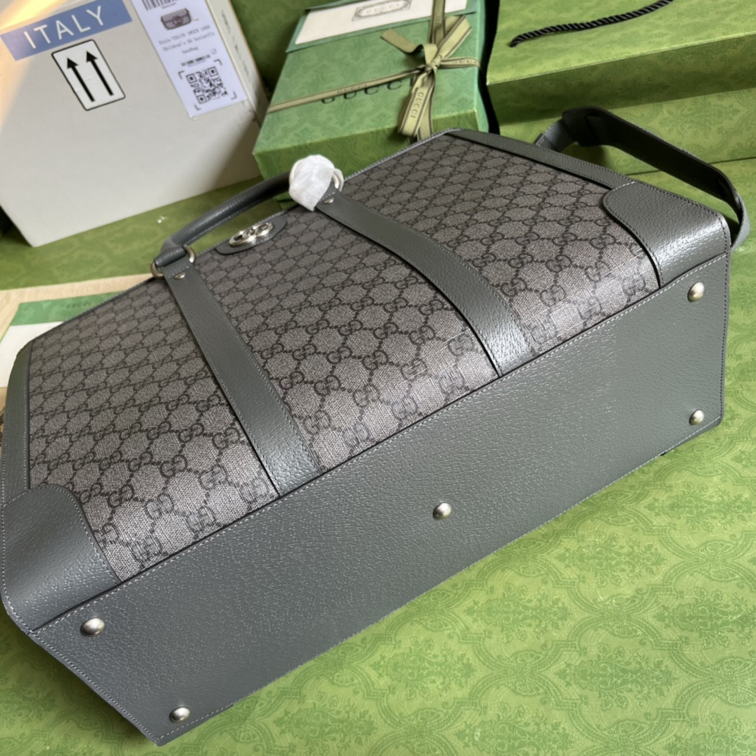 Gucci Ophidia Bag