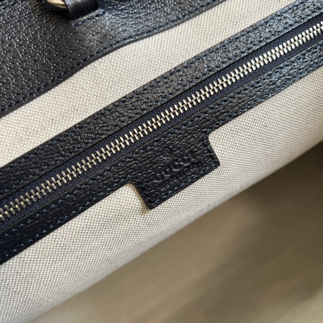 Gucci Ophidia Bag