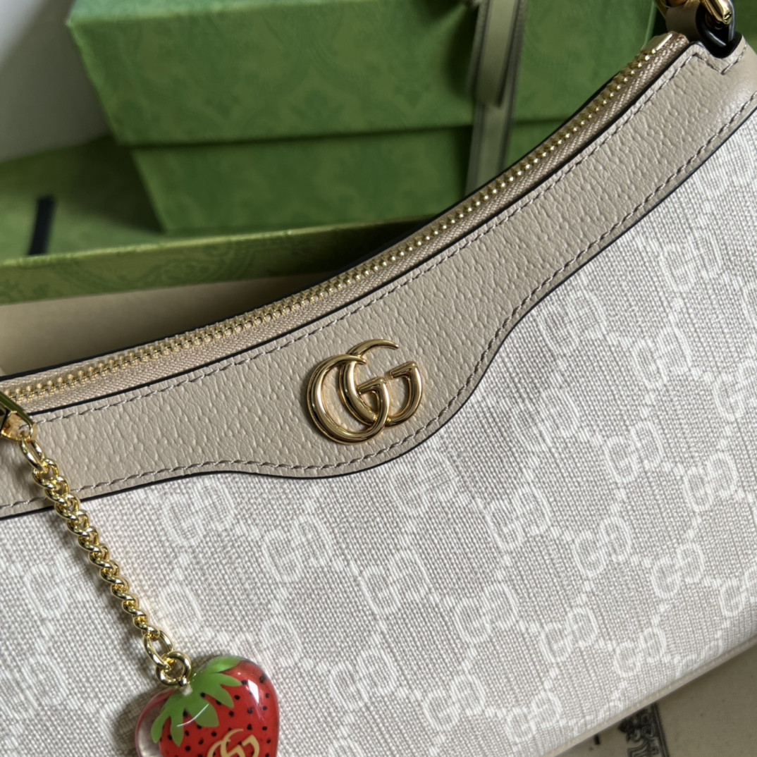 Gucci Ophidia Bag