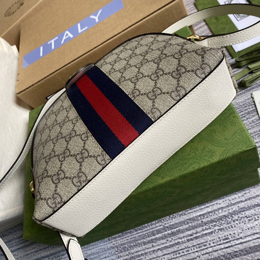 Gucci Ophidia Bag