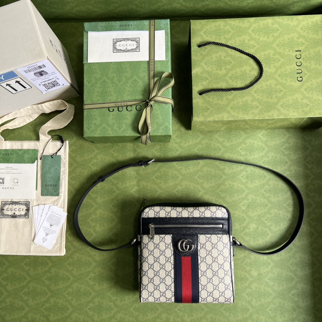 Gucci Ophidia Bag