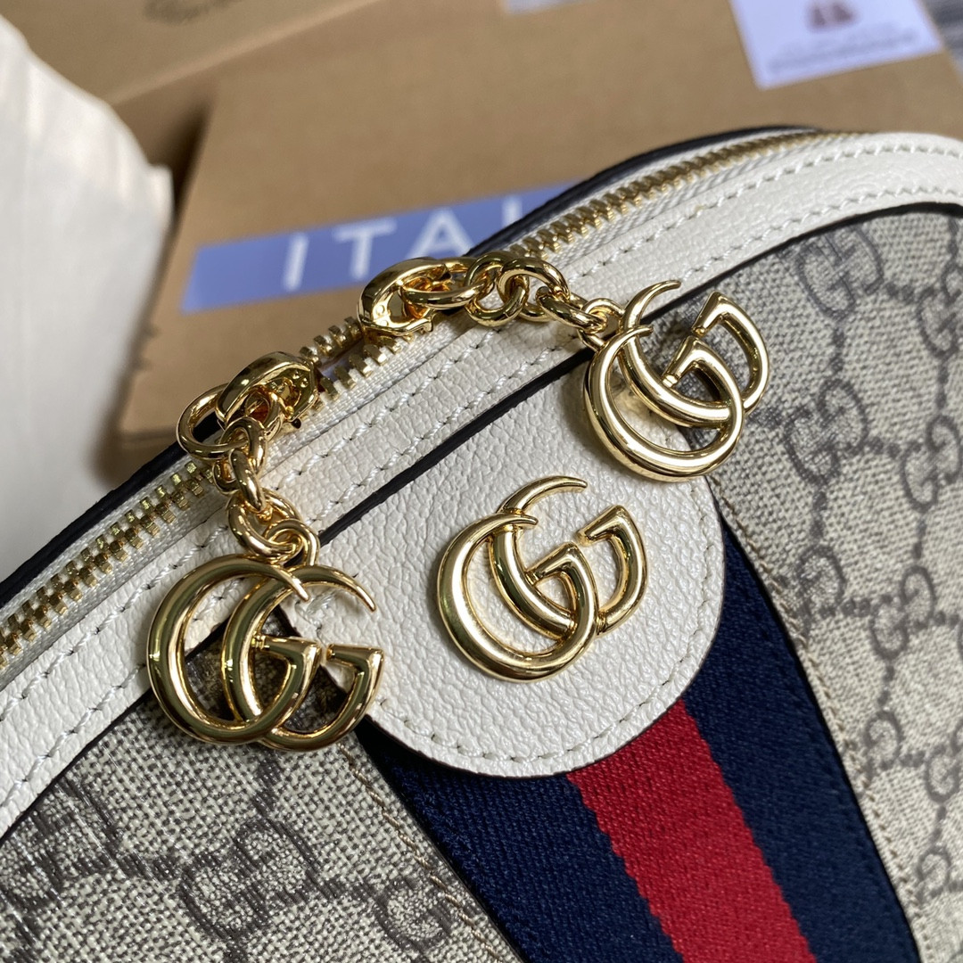 Gucci Ophidia Bag