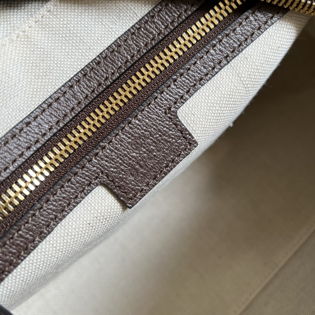 Gucci Ophidia Bag