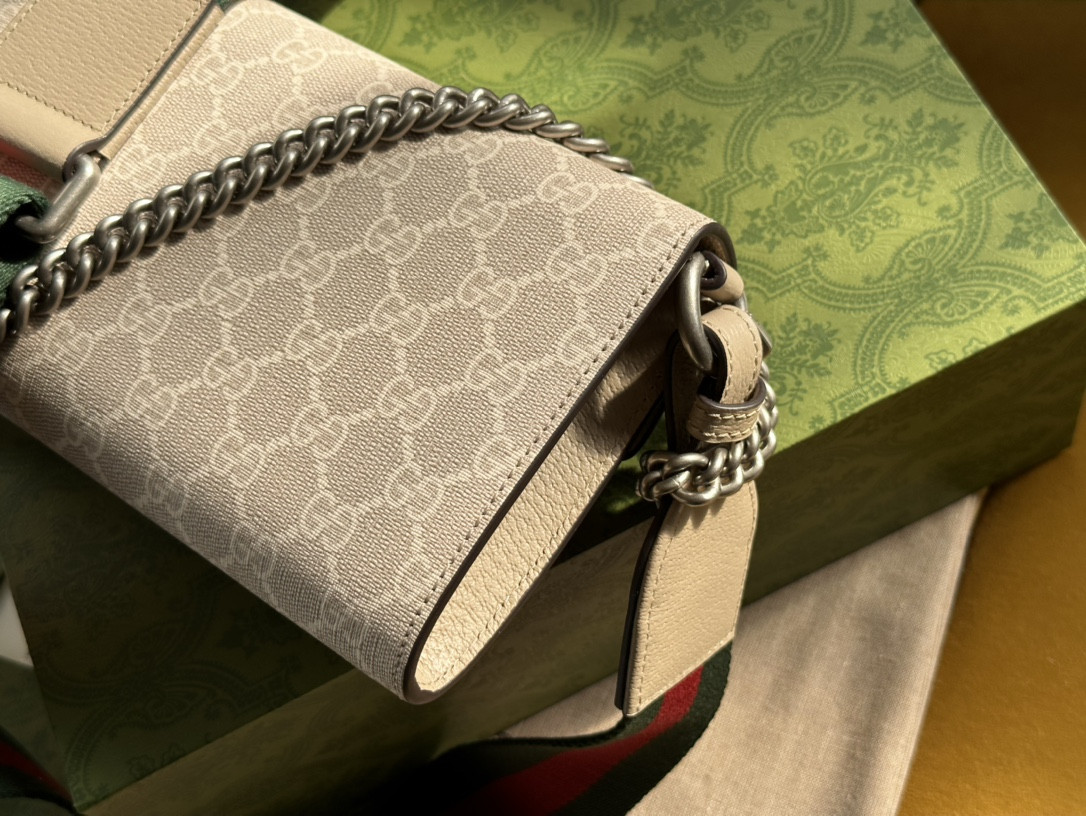 Gucci Dionysus Bag