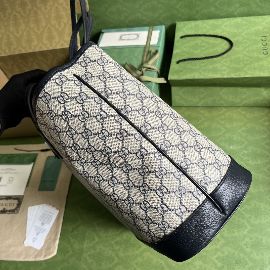 Gucci Ophidia Bag
