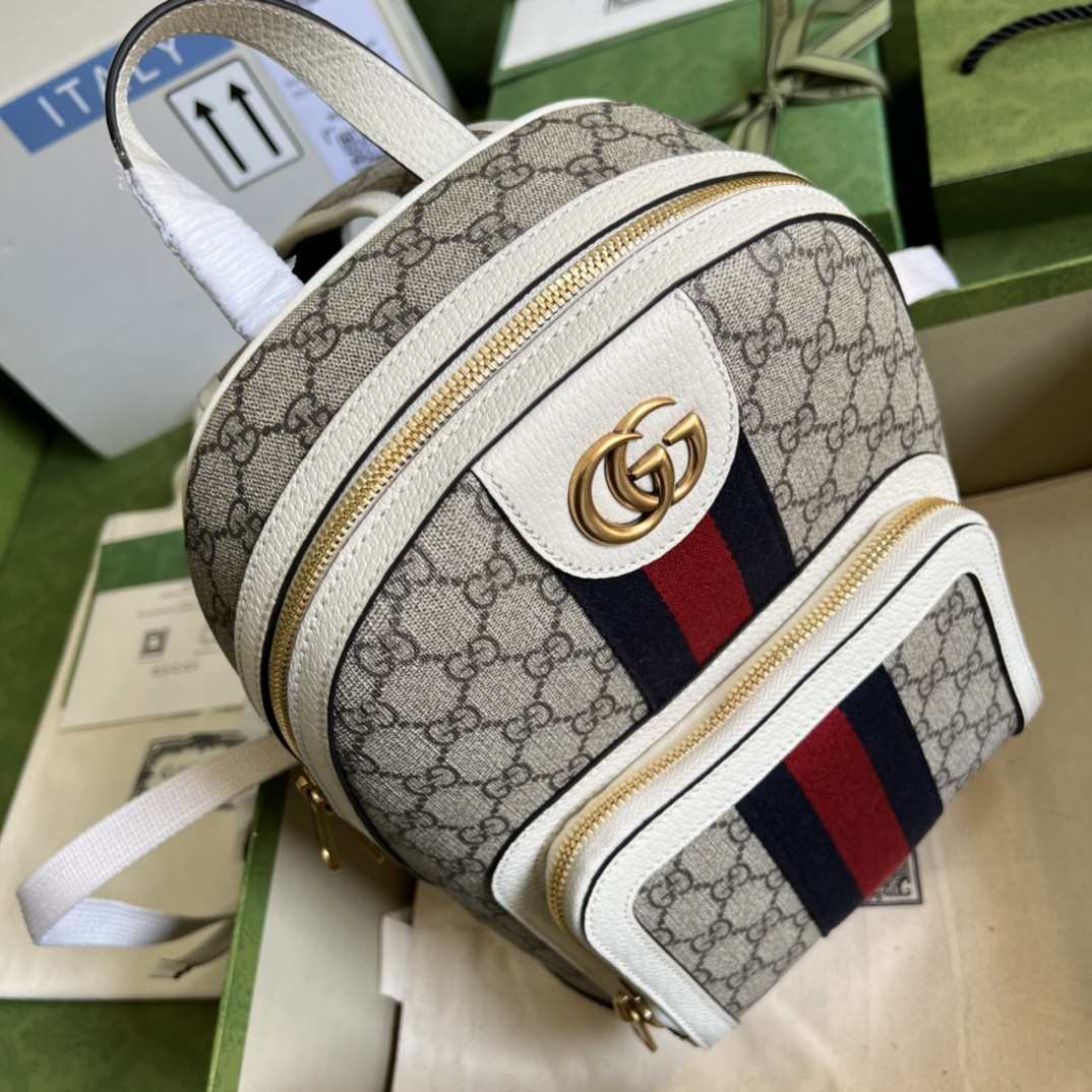 Gucci Ophidia Bag