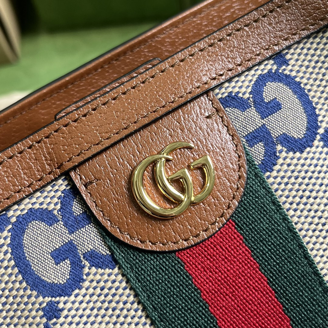Gucci Ophidia Bag