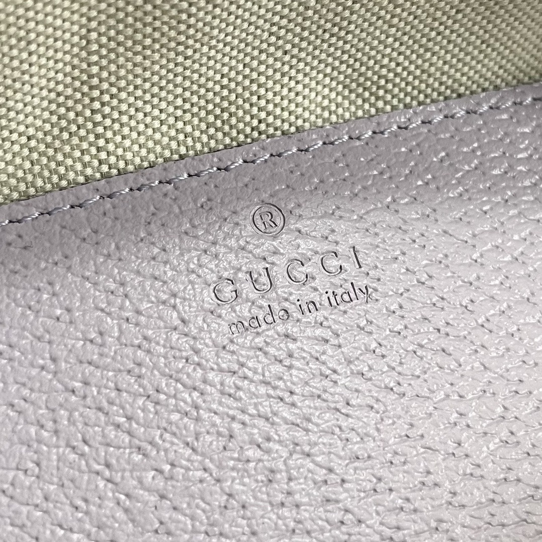 Gucci Ophidia Bag