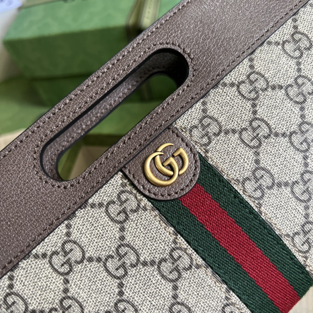 Gucci Ophidia Bag