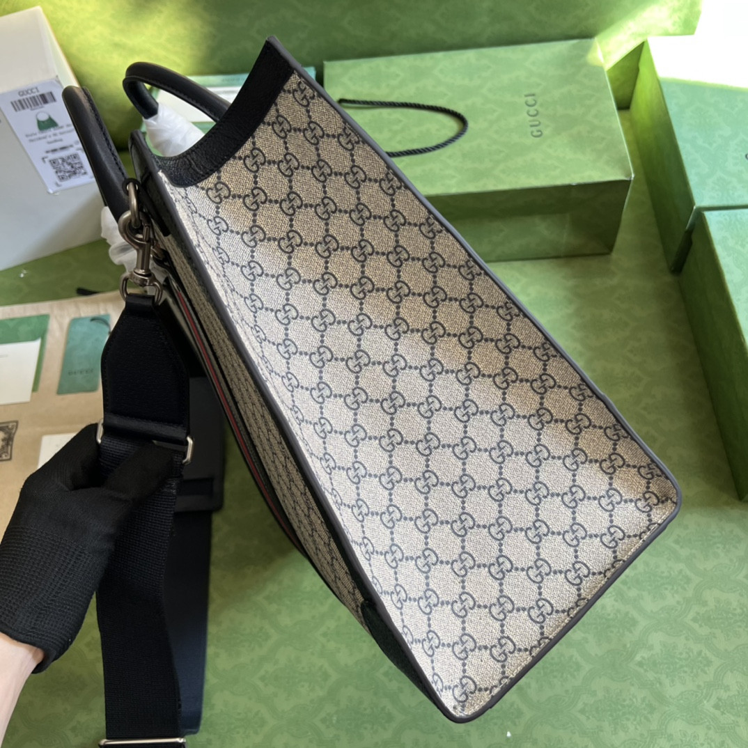 Gucci Ophidia Bag