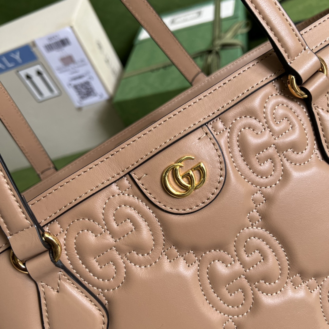 Gucci Ophidia Bag