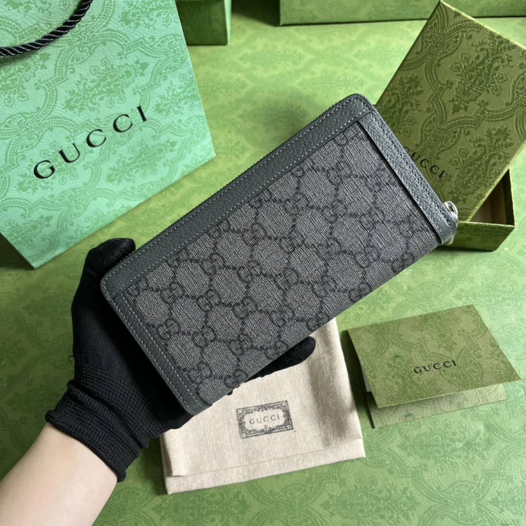 Gucci Ophidia Bag