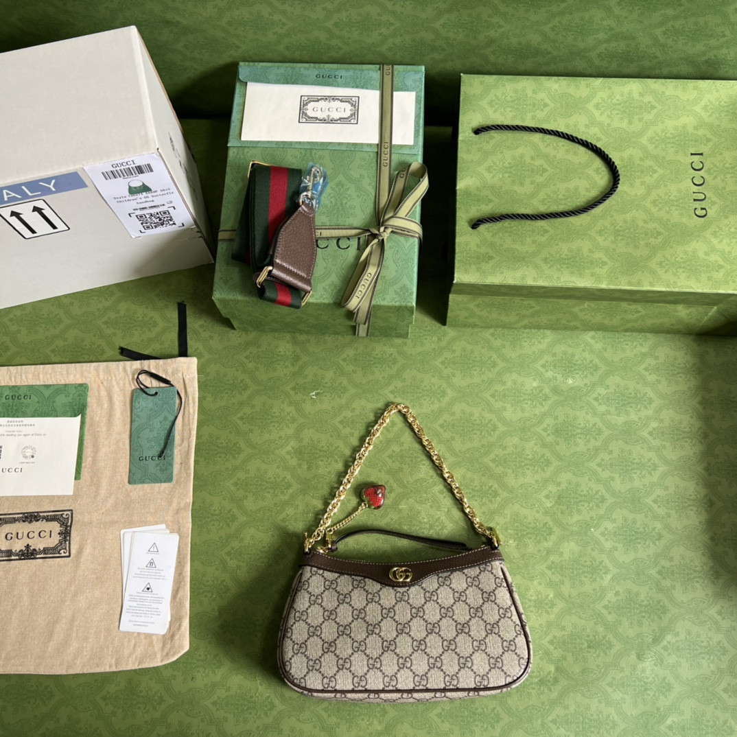 Gucci Ophidia Bag