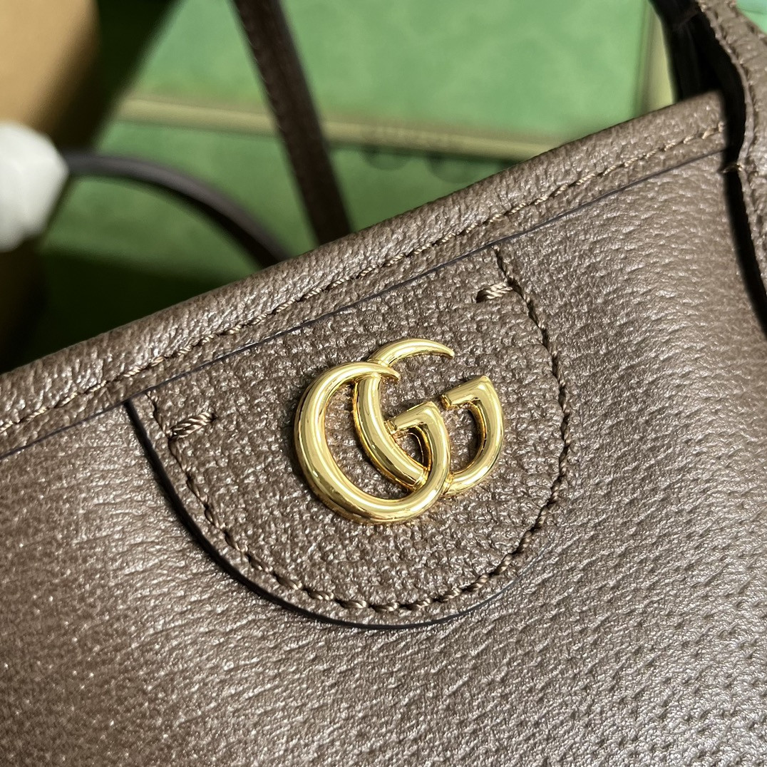 Gucci Ophidia Bag