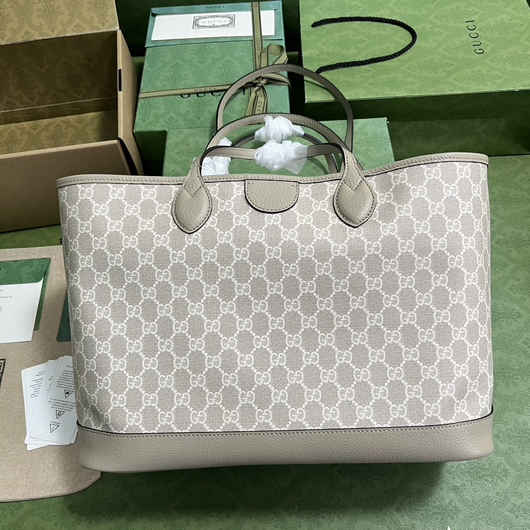 Gucci Ophidia Bag