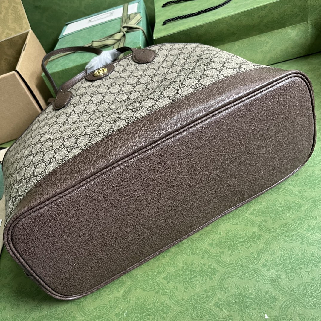 Gucci Ophidia Bag