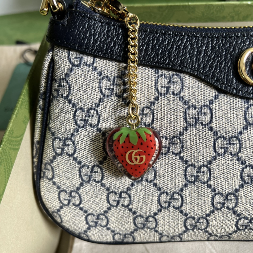 Gucci Ophidia Bag