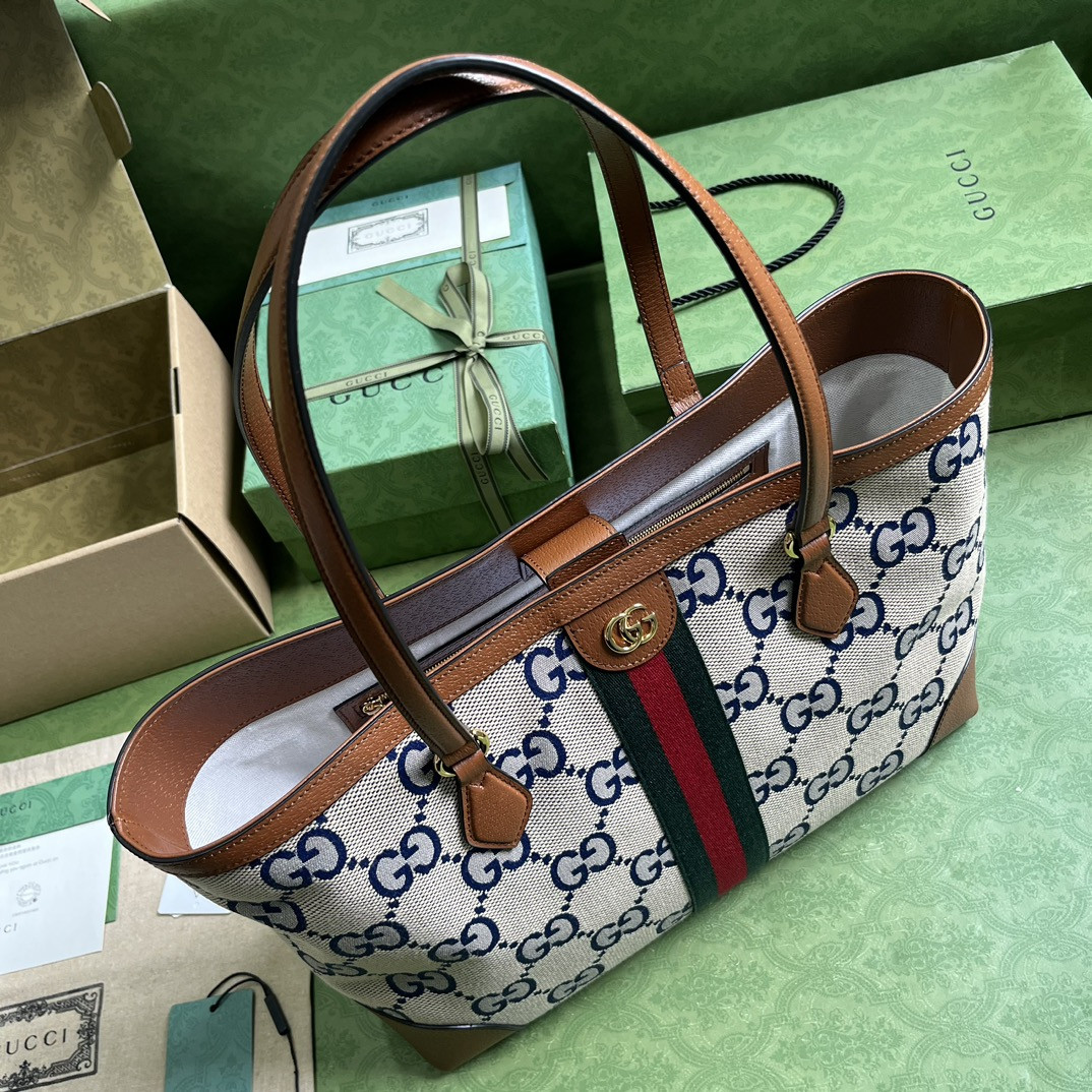 Gucci Ophidia Bag