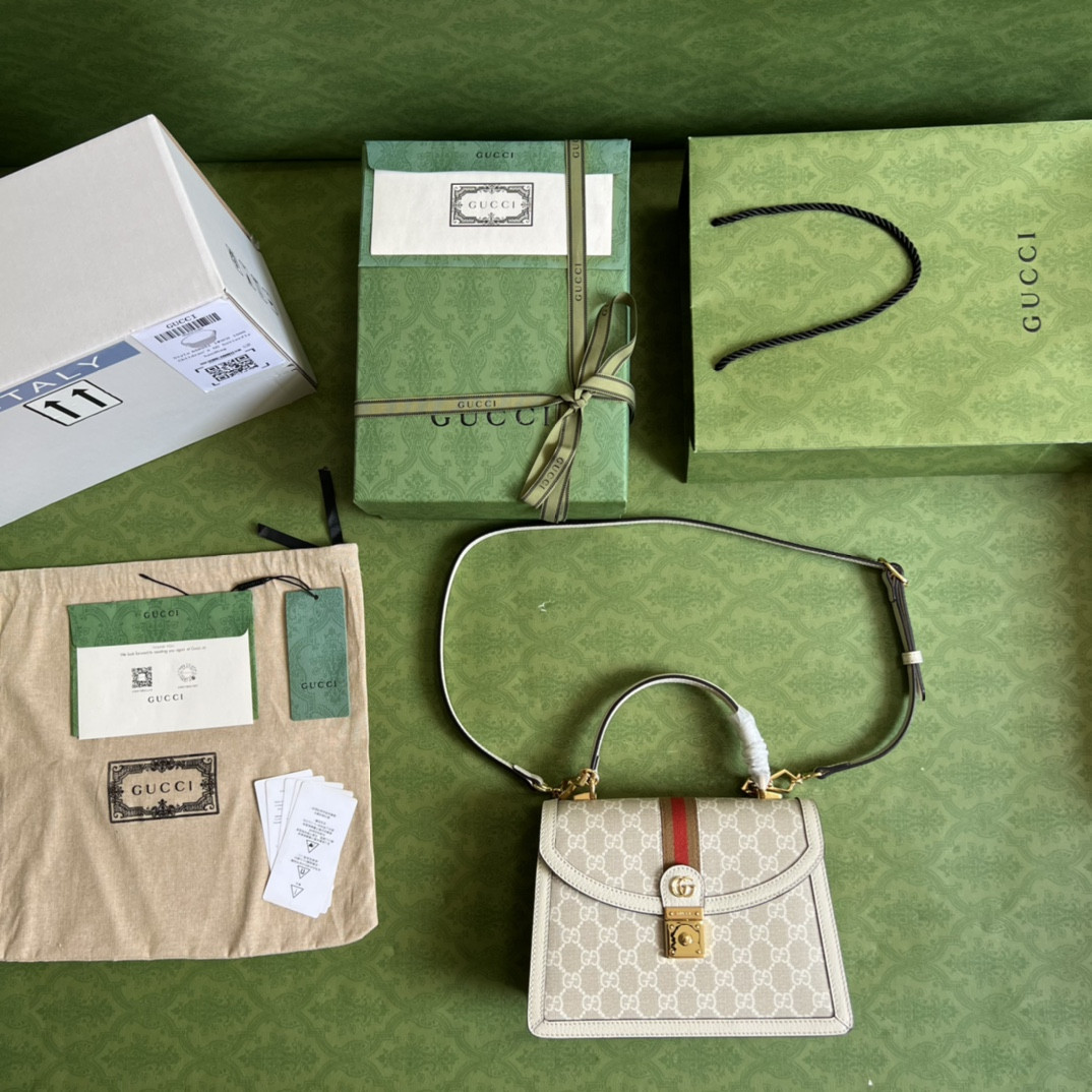 Gucci Ophidia Bag