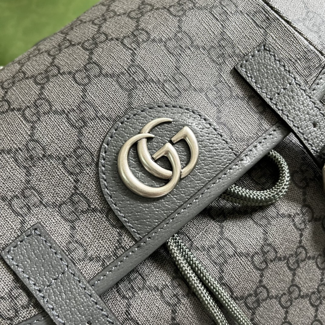 Gucci Ophidia Bag