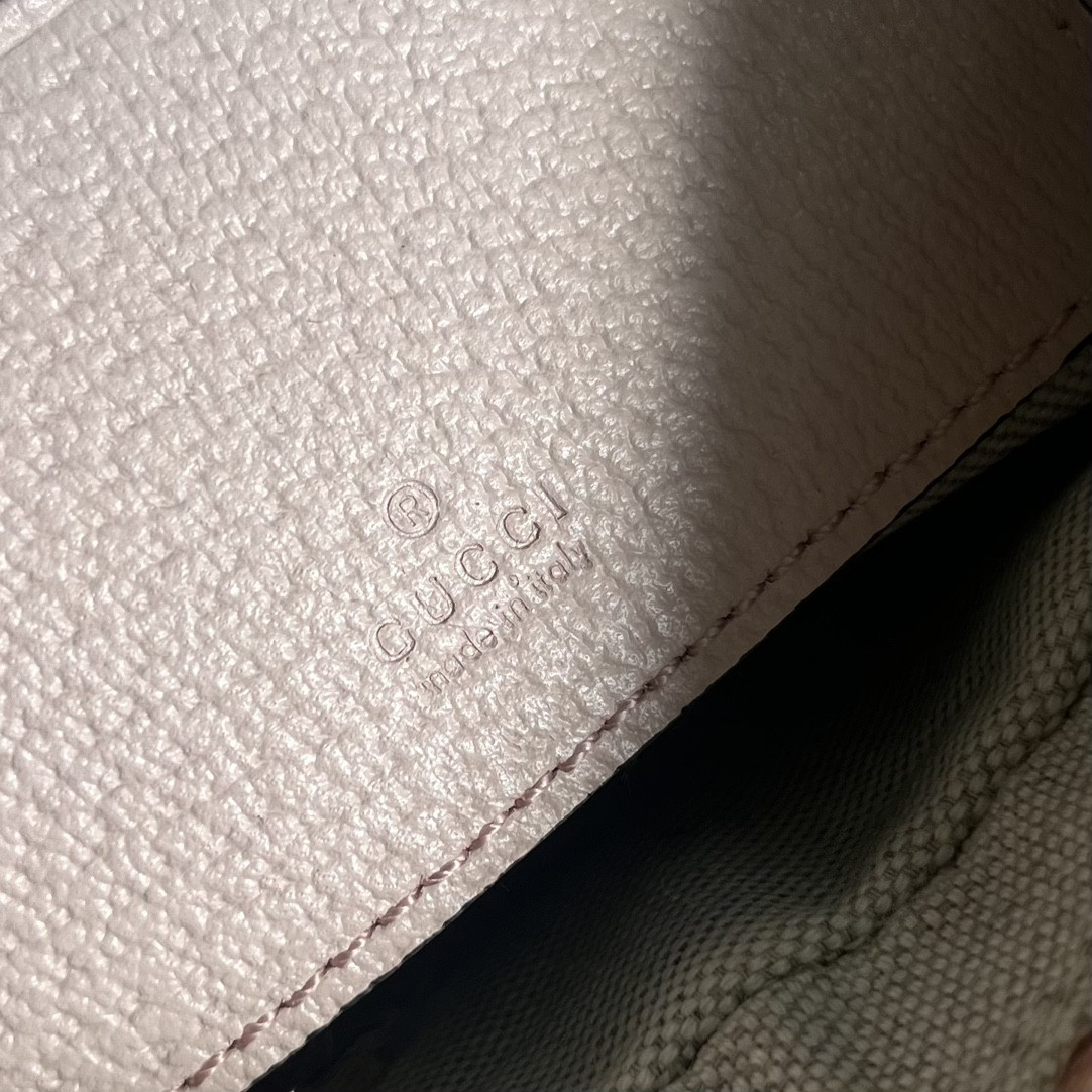 Gucci Ophidia Bag