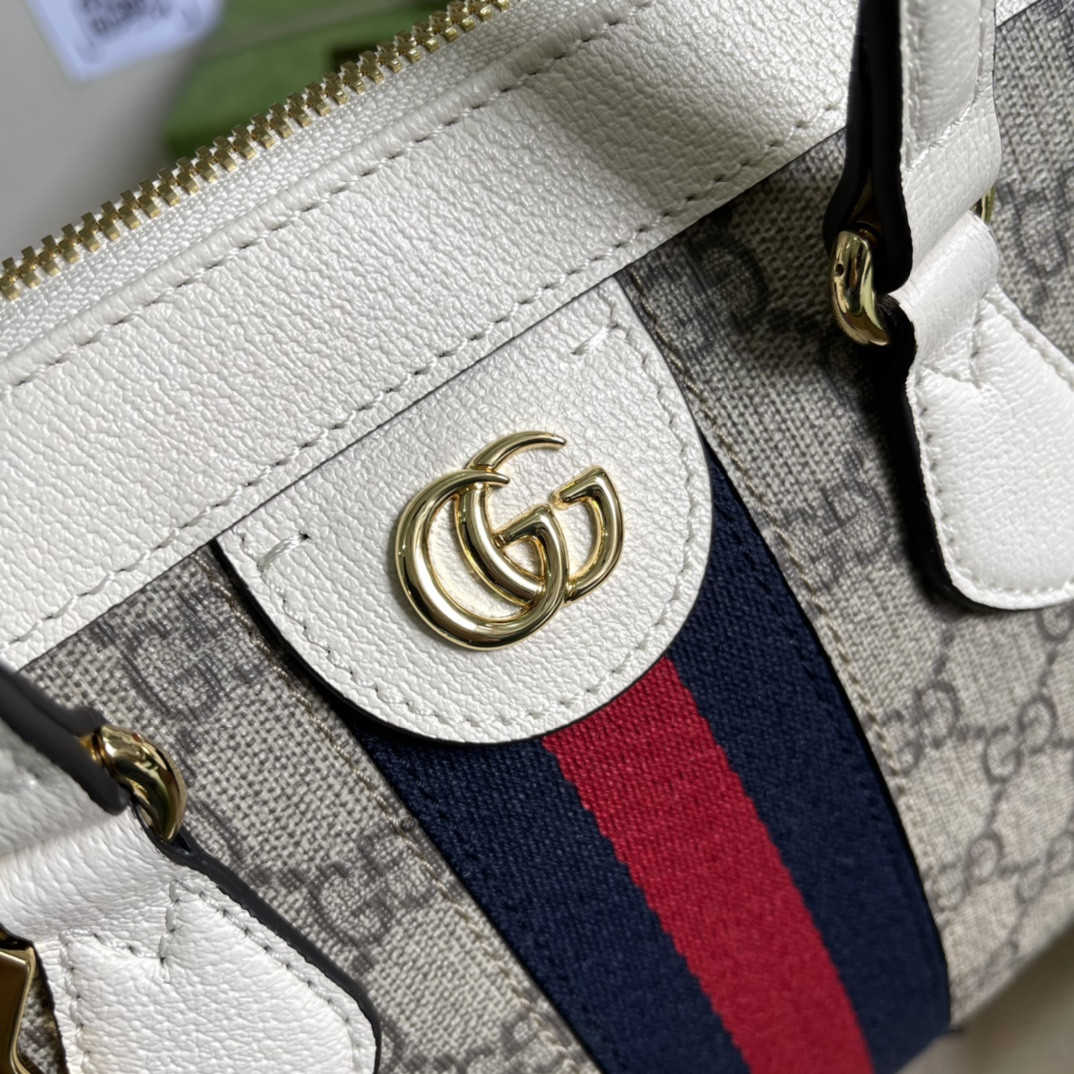 Gucci Ophidia Bag