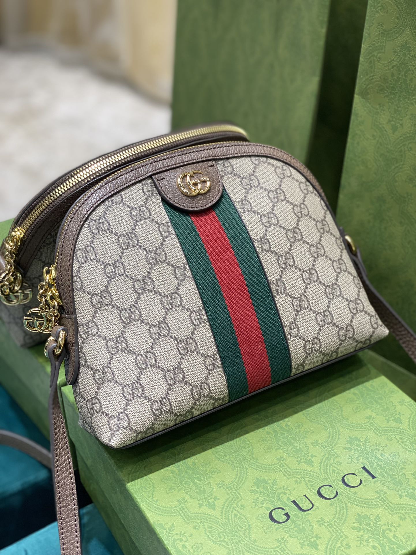 Gucci Ophidia Bag