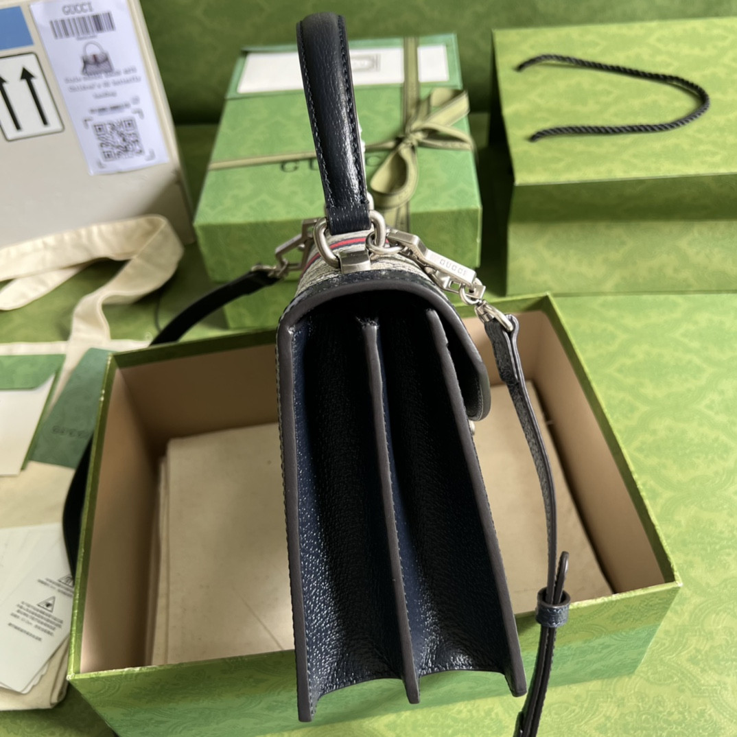 Gucci Ophidia Bag