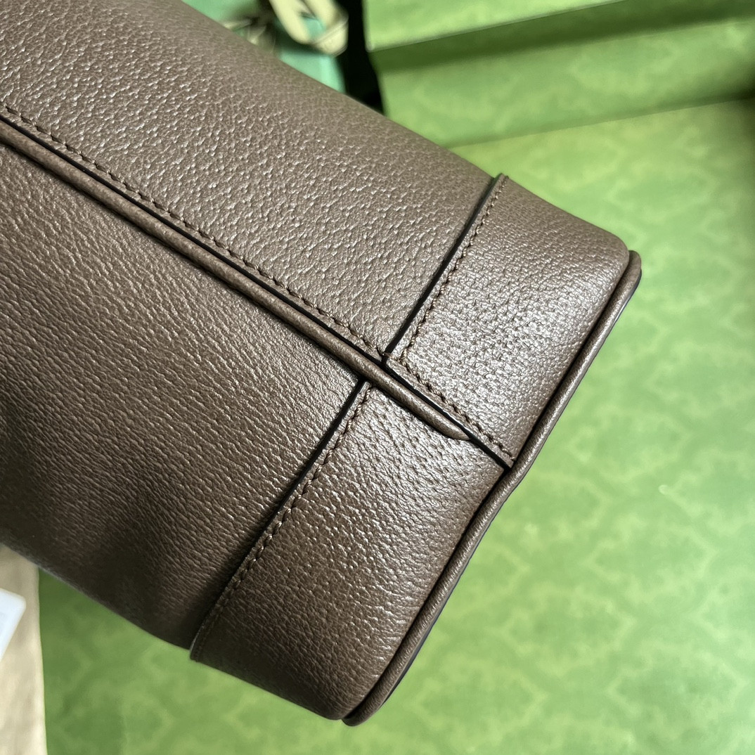 Gucci Ophidia Bag