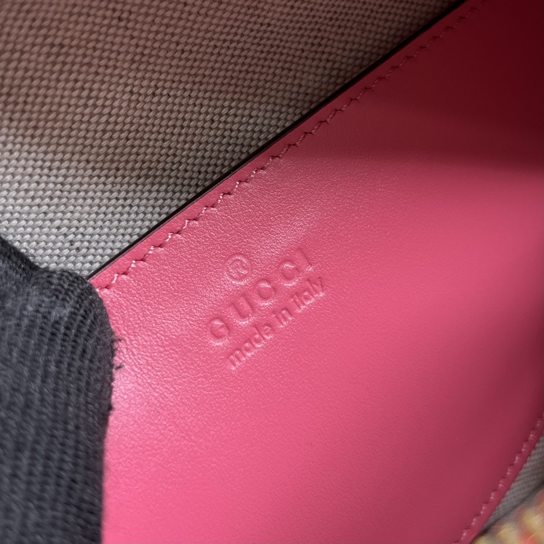 Gucci Ophidia Bag