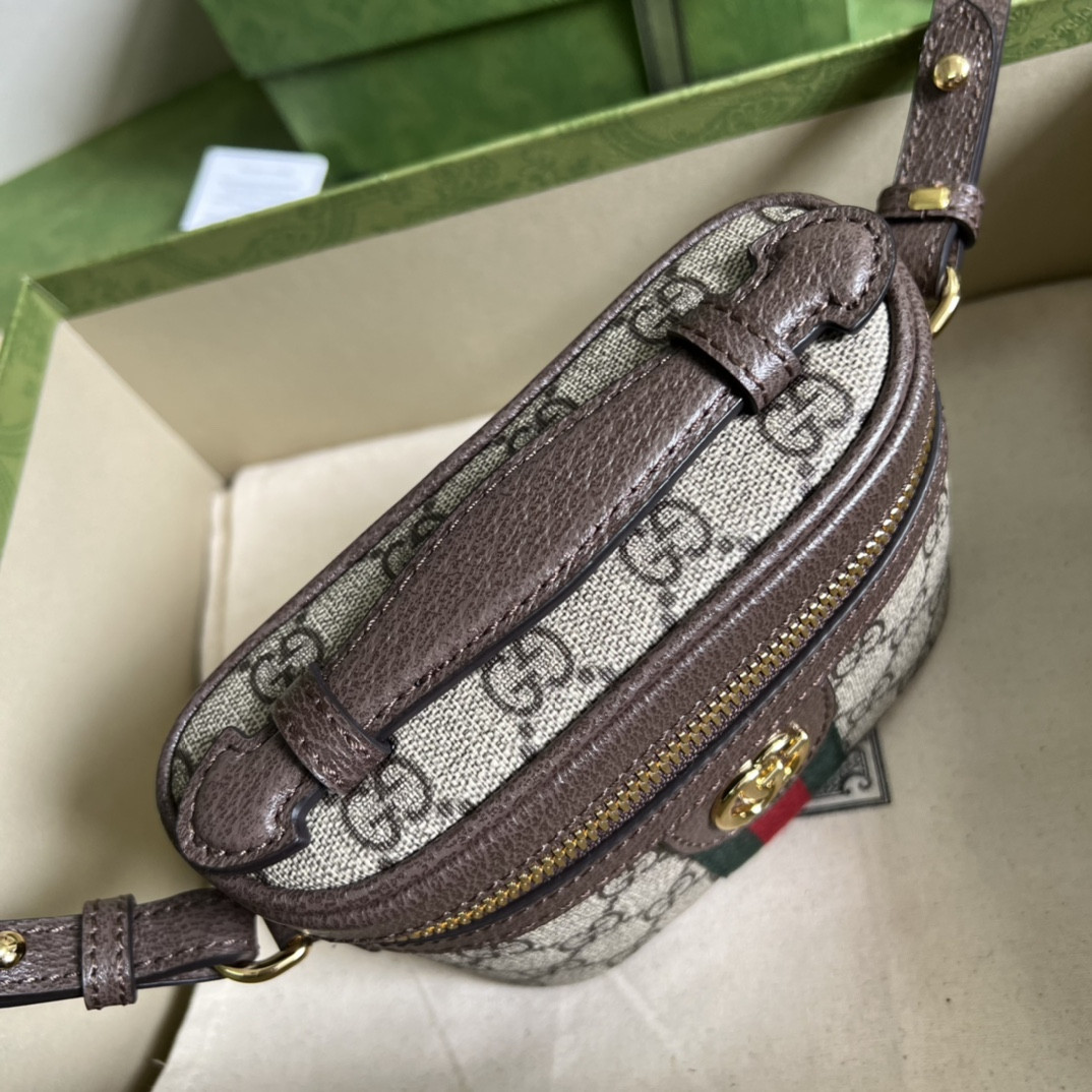 Gucci Ophidia Bag