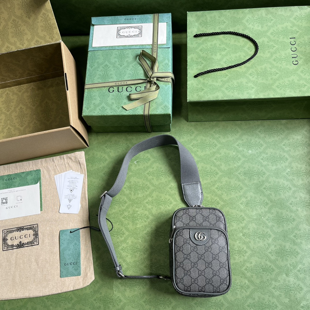Gucci Ophidia Bag