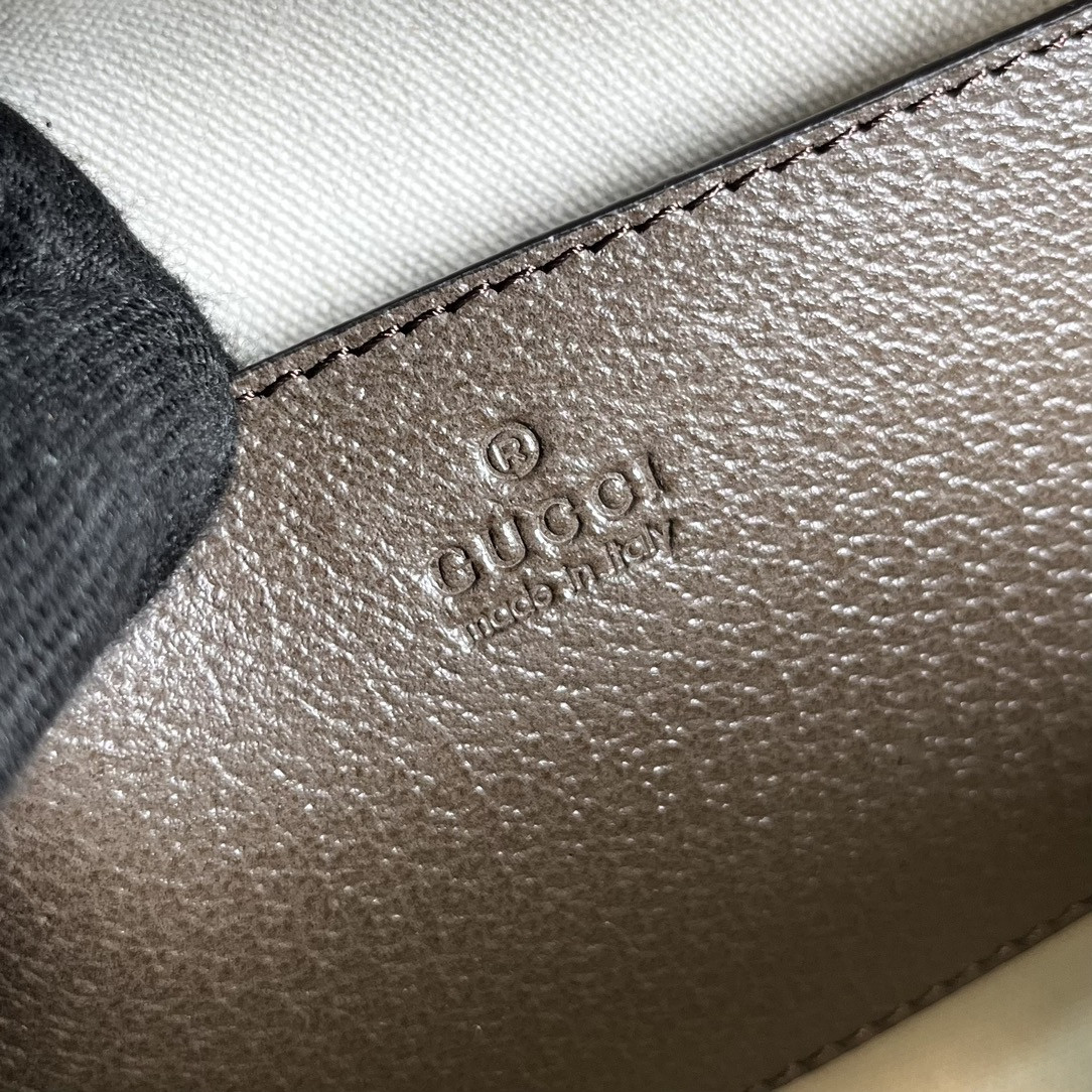 Gucci Ophidia Bag