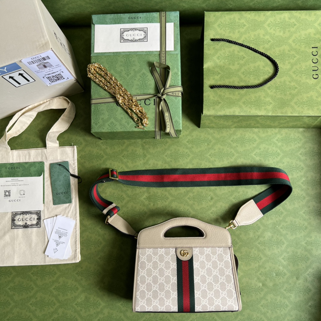 Gucci Ophidia Bag