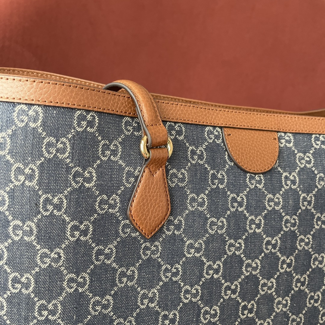 Gucci Ophidia Bag