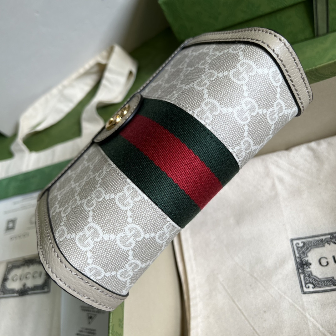 Gucci Ophidia Bag