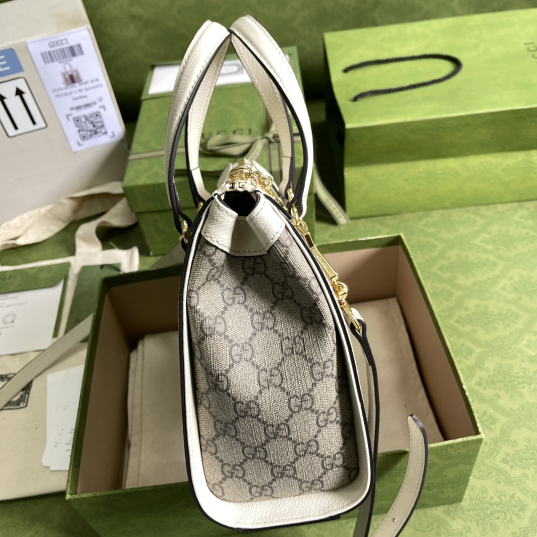 Gucci Ophidia Bag