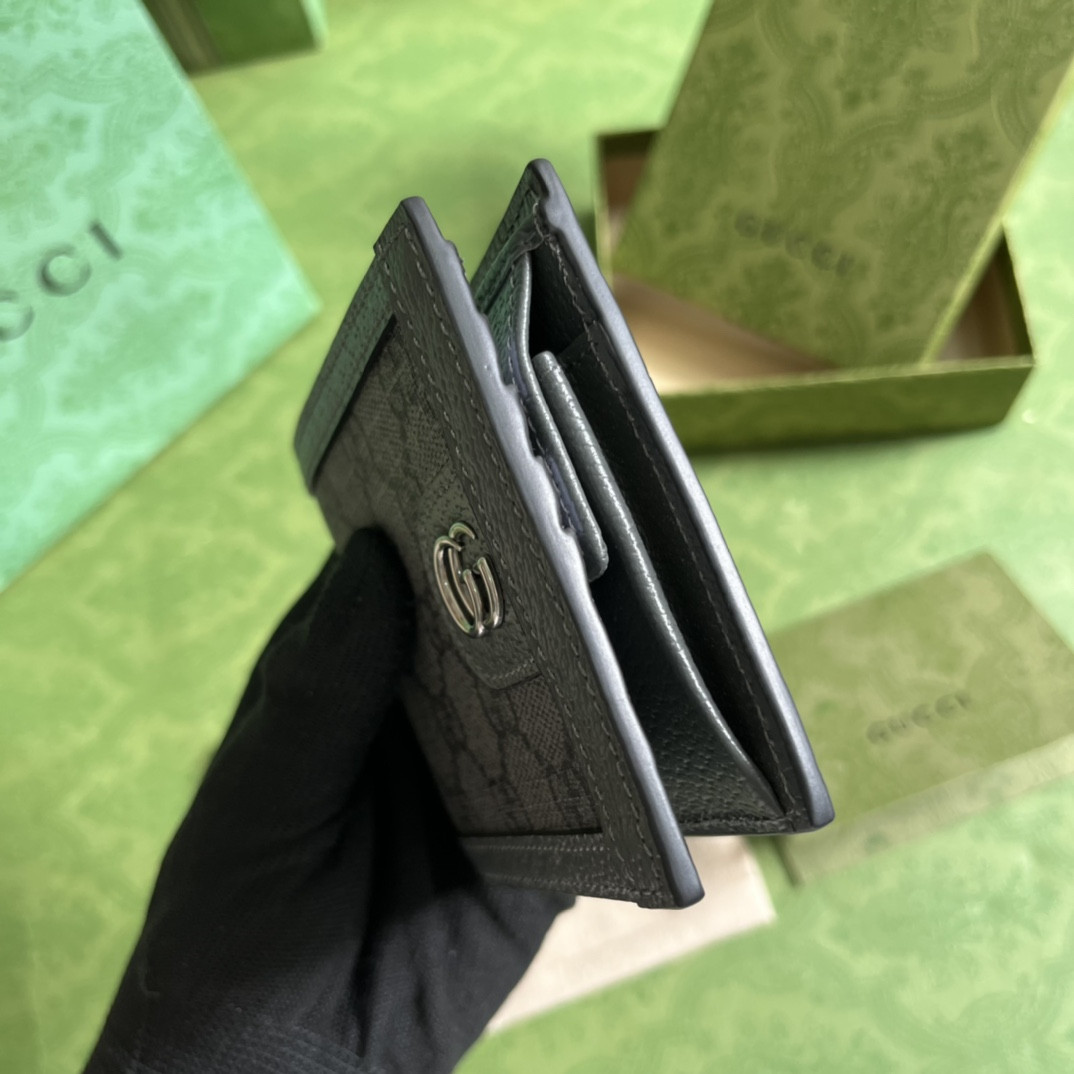 Gucci Ophidia Bag