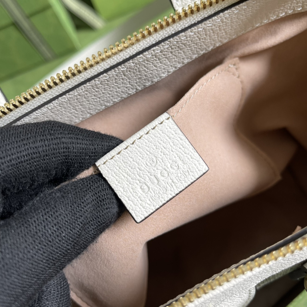 Gucci Ophidia Bag