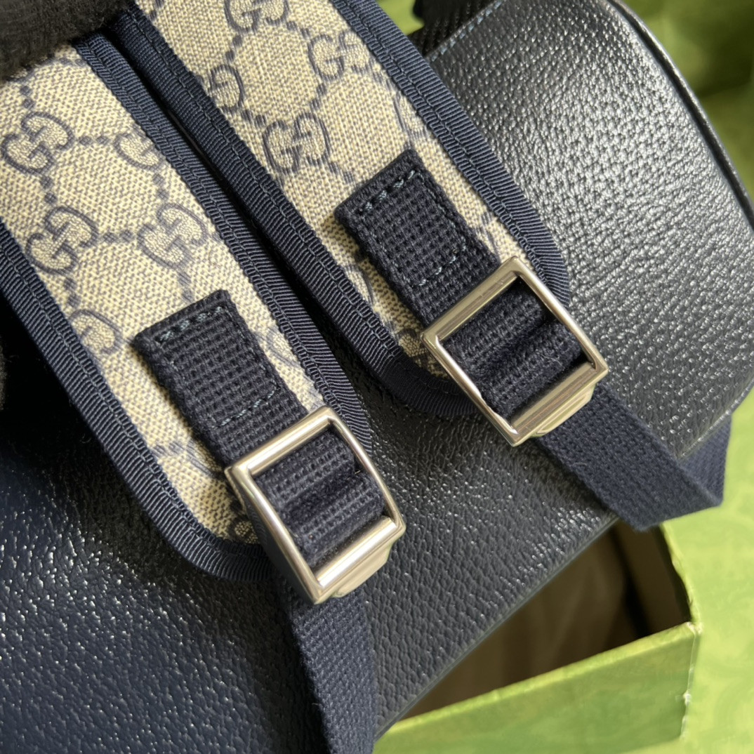 Gucci Ophidia Bag