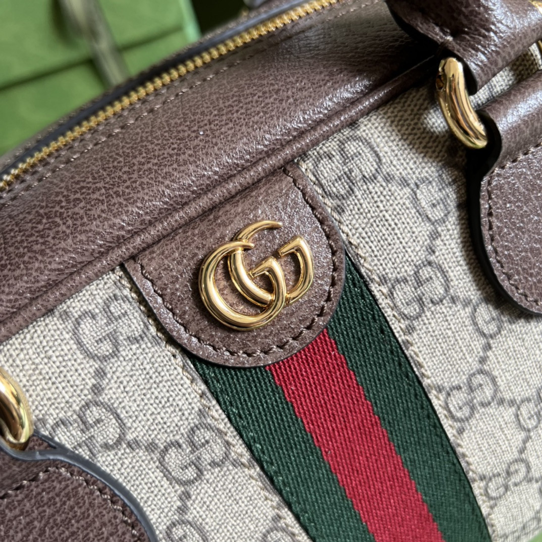 Gucci Ophidia Bag