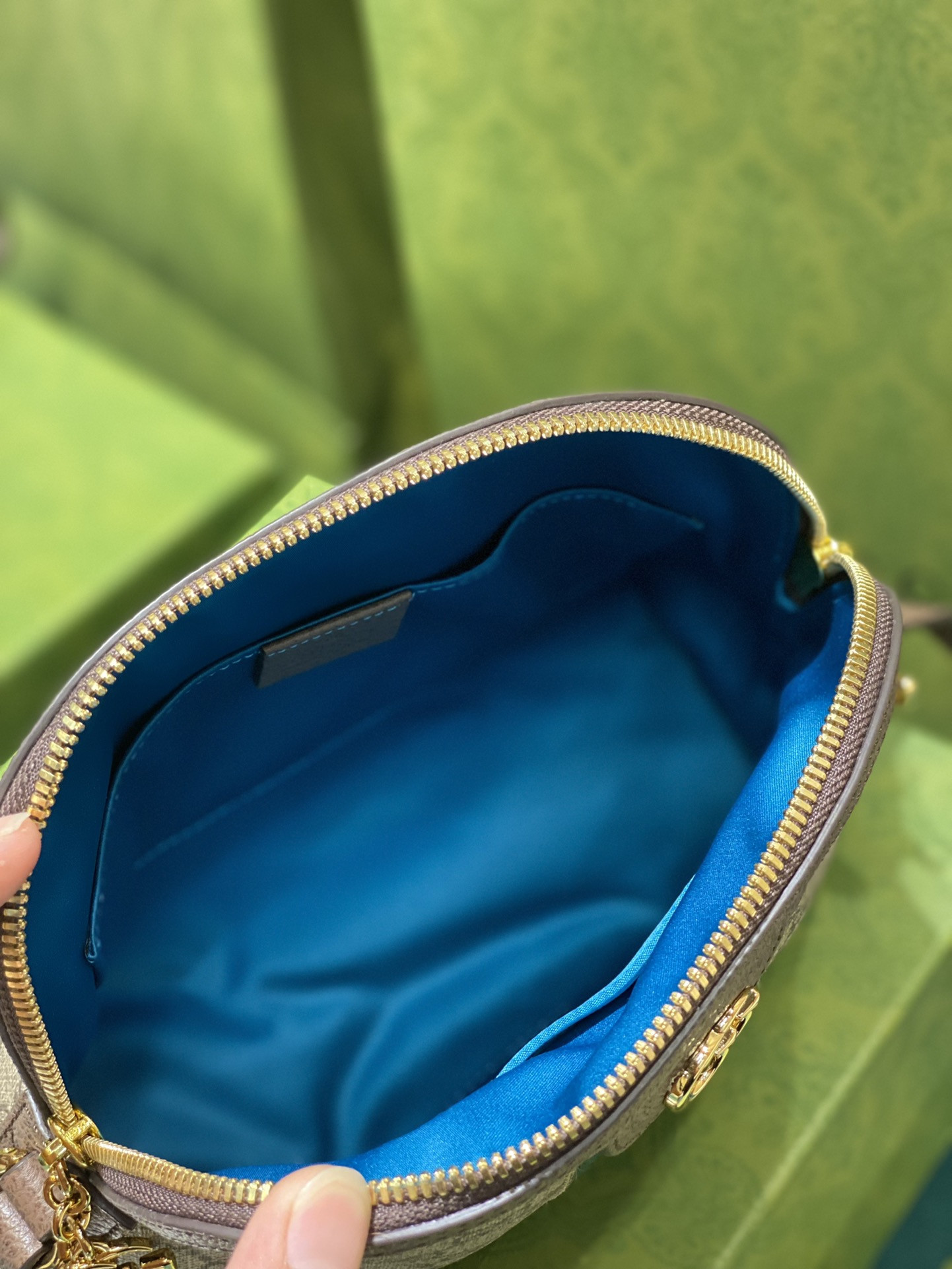 Gucci Ophidia Bag