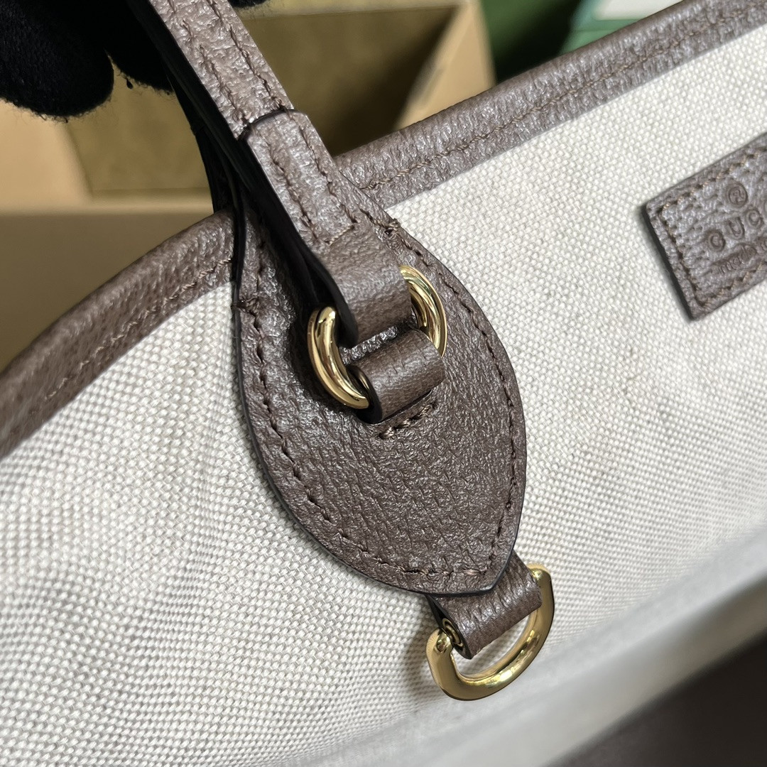 Gucci Ophidia Bag