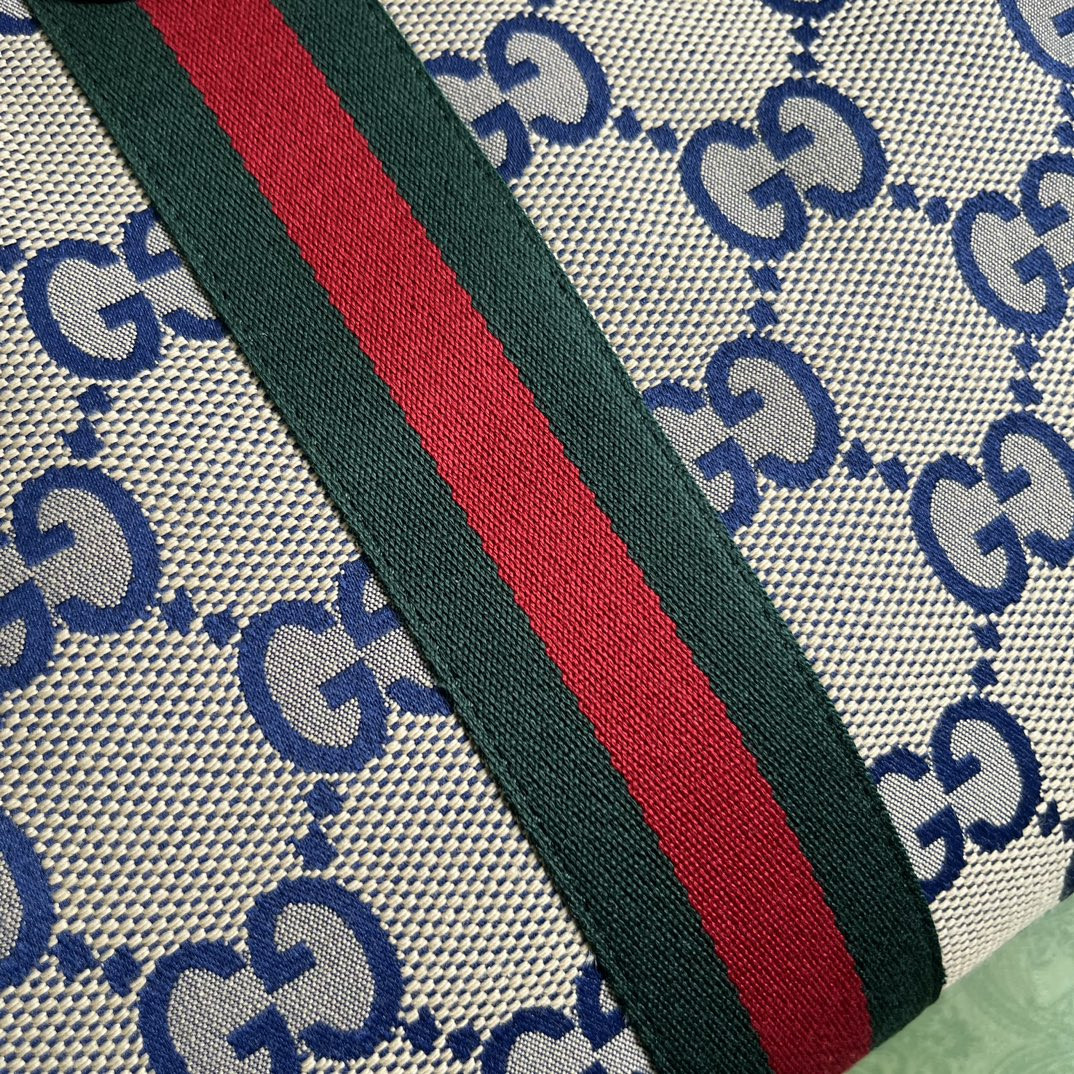 Gucci Ophidia Bag