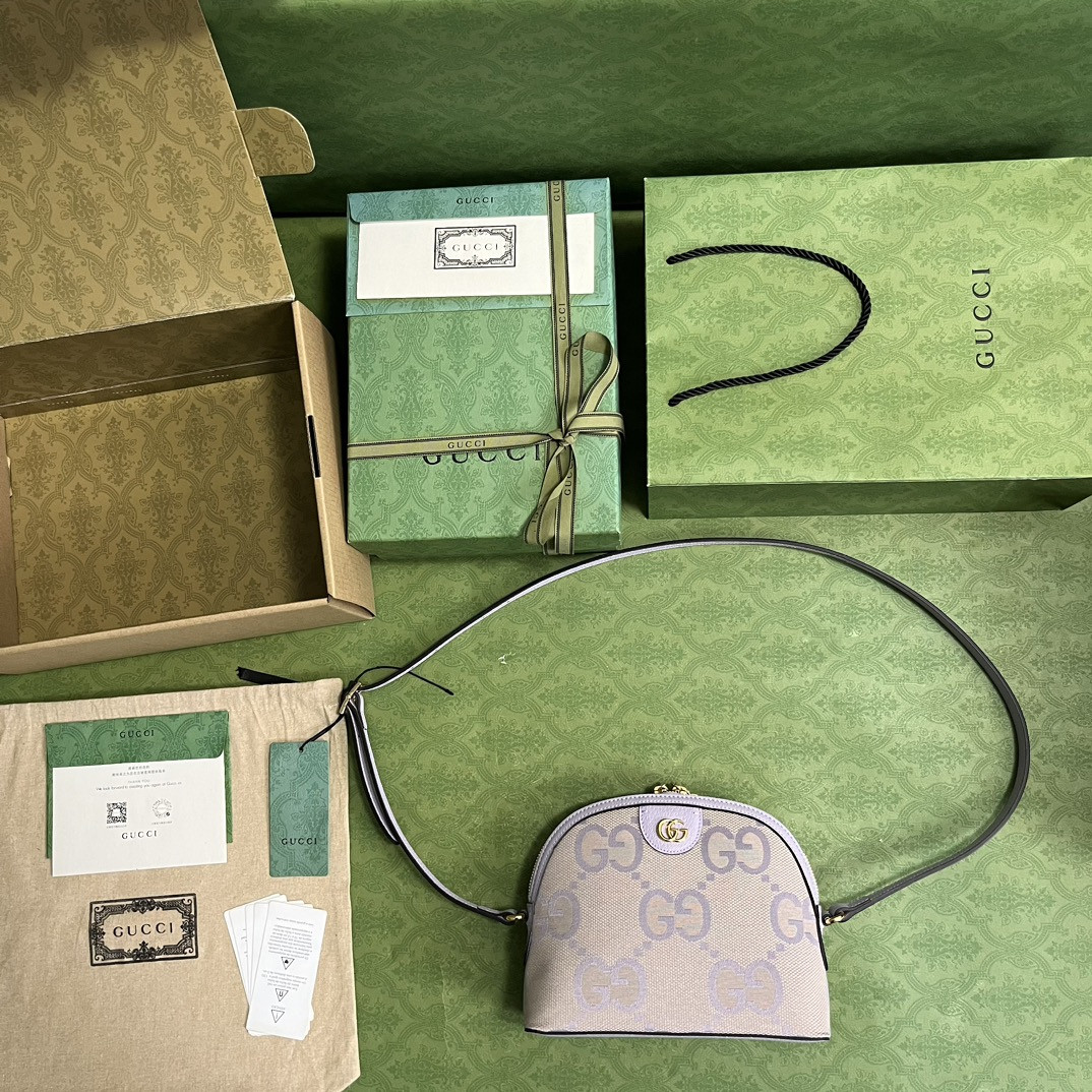 Gucci Ophidia Bag