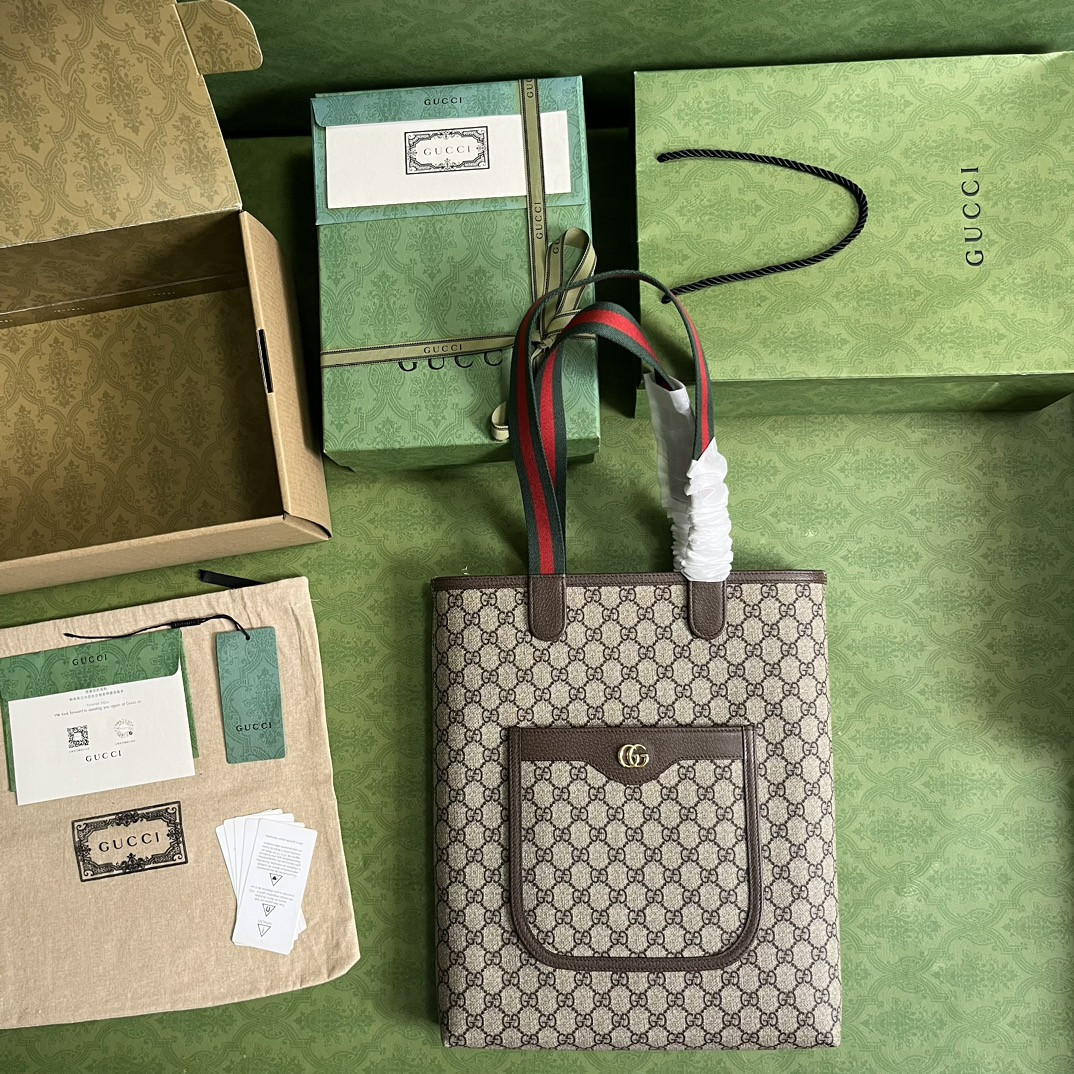 Gucci Ophidia Bag